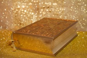 Believe the Word Bible with Gold