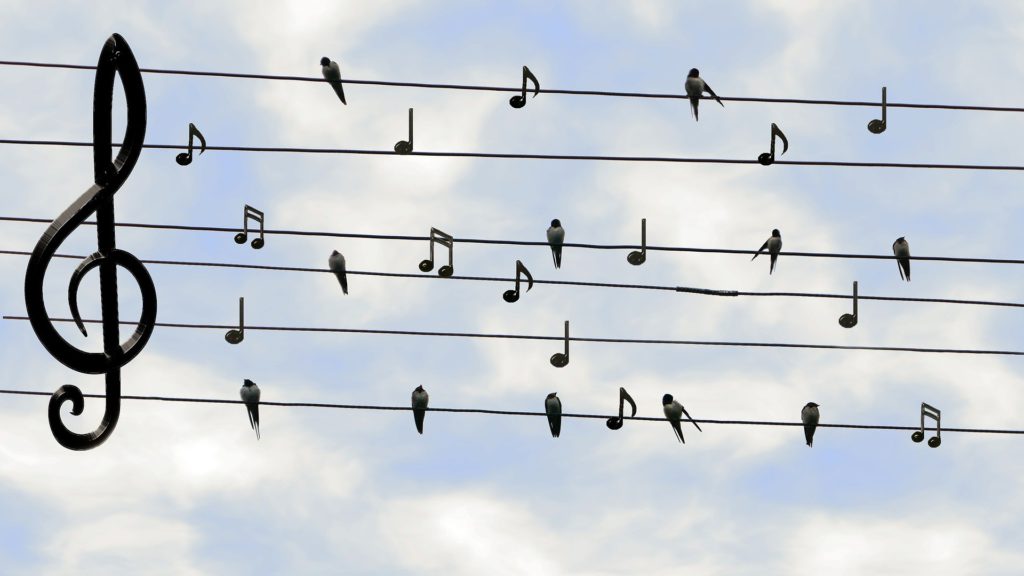 Birds and Music Sound