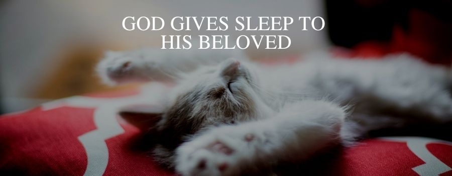 God Gives Sleep to his Beloved – Kitten Sleeping