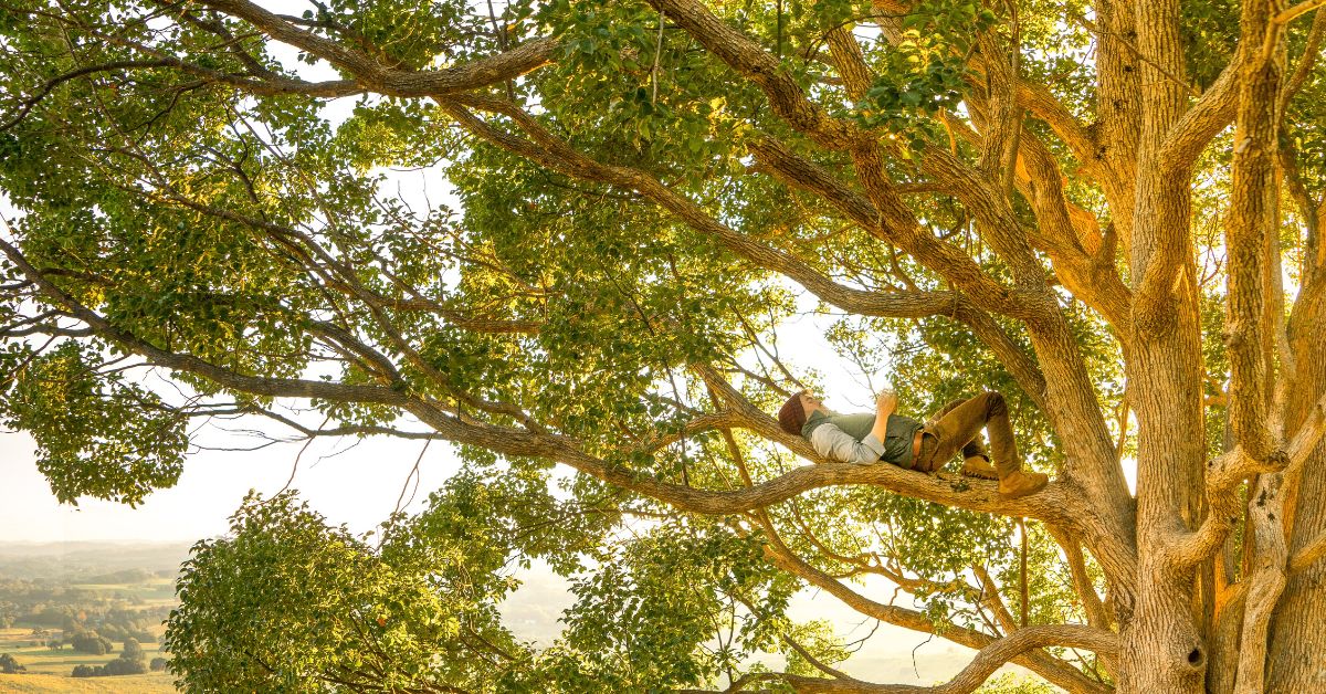 Man Lying on the Tree Branch