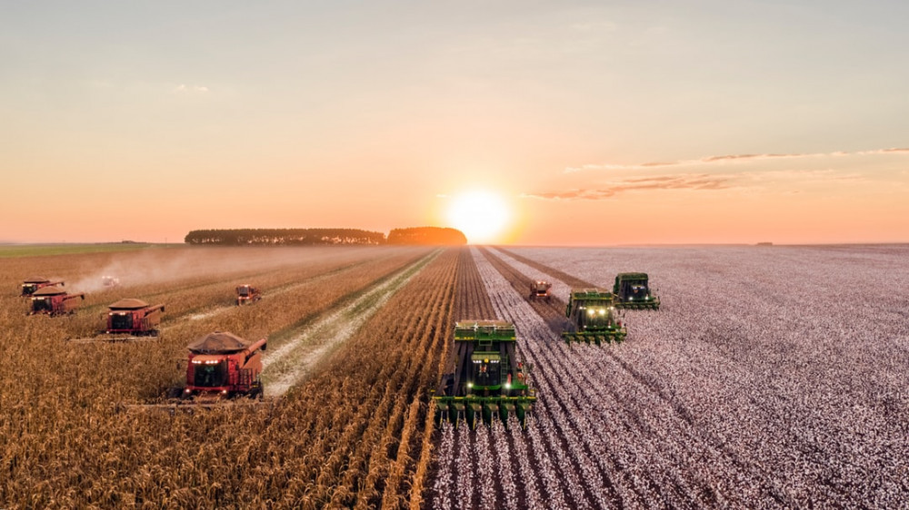 Combine Harvesters During Harvest