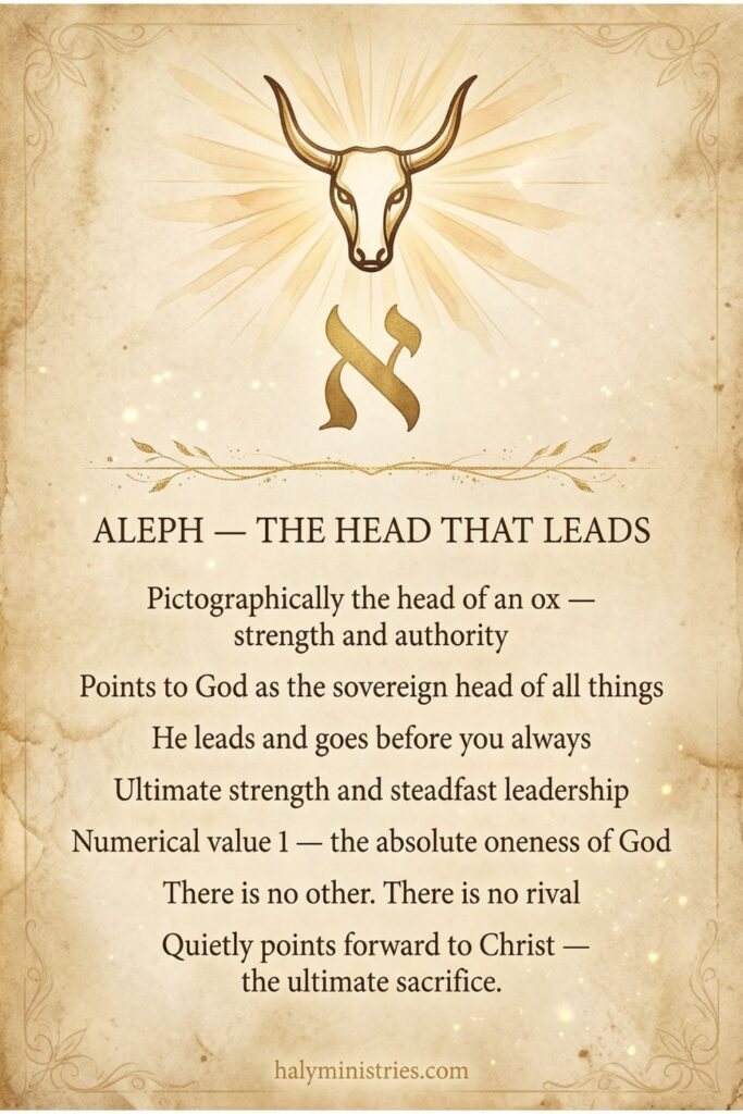 Ancient Hebrew pictograph of the letter Aleph depicted as the head of an ox, representing God's sovereign authority, supreme strength and leadership, illustrating the meaning of Aleph from a Hebrew perspective by Haly Ministries