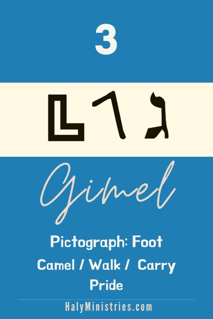 Hebrew Letter Gimel Meaning - Haly Ministries