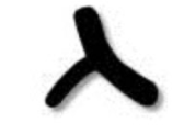 Hebrew Letter Gimel - Pictograph