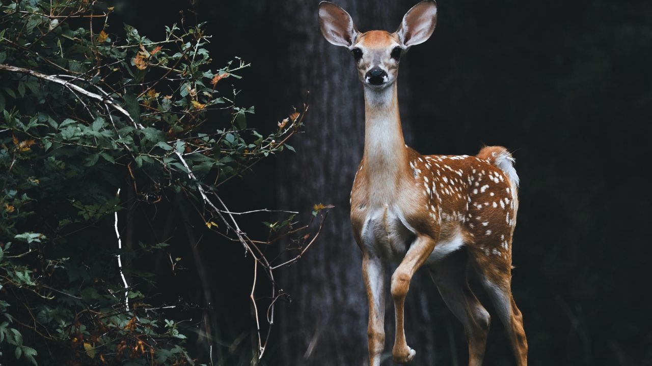 How to Have Confidence in God 7 Practical Steps - Haly Ministries