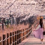 Navigating Blessings How to Obey God's Word Your Roadmap - Haly Ministries (on photo: woman on the path white flowering trees)