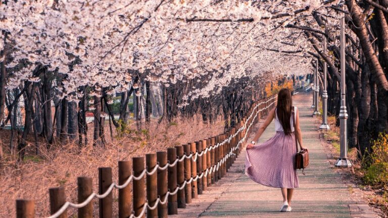Navigating Blessings How to Obey God's Word Your Roadmap - Haly Ministries (on photo: woman on the path white flowering trees)