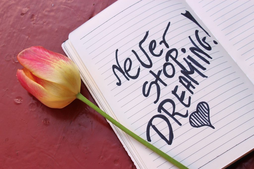 Never Stop Dreaming - Written in the Notebook and Tulip Near it