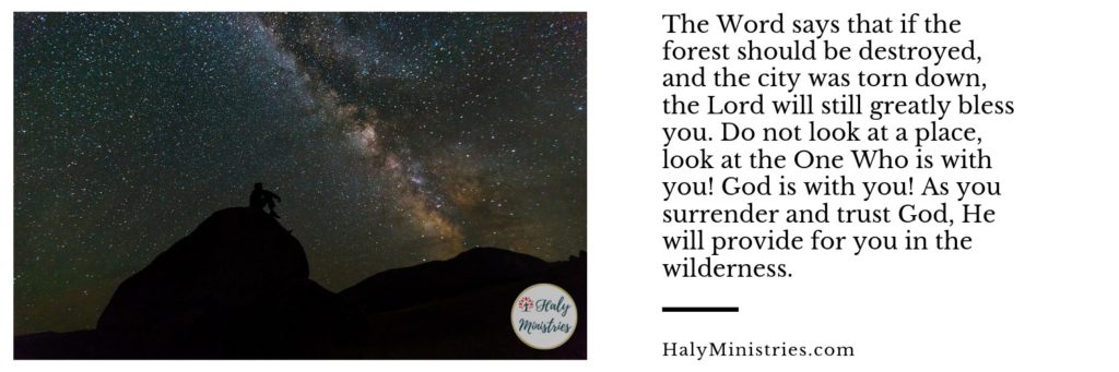 Prophetic Word - God Can Bless You Even in the Wilderness - Haly Ministries - header