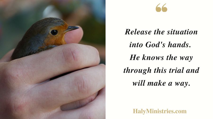 Release the Situation into God's Hands. He knows the way
through this trial and
will make a way. - Haly Ministries Quotes