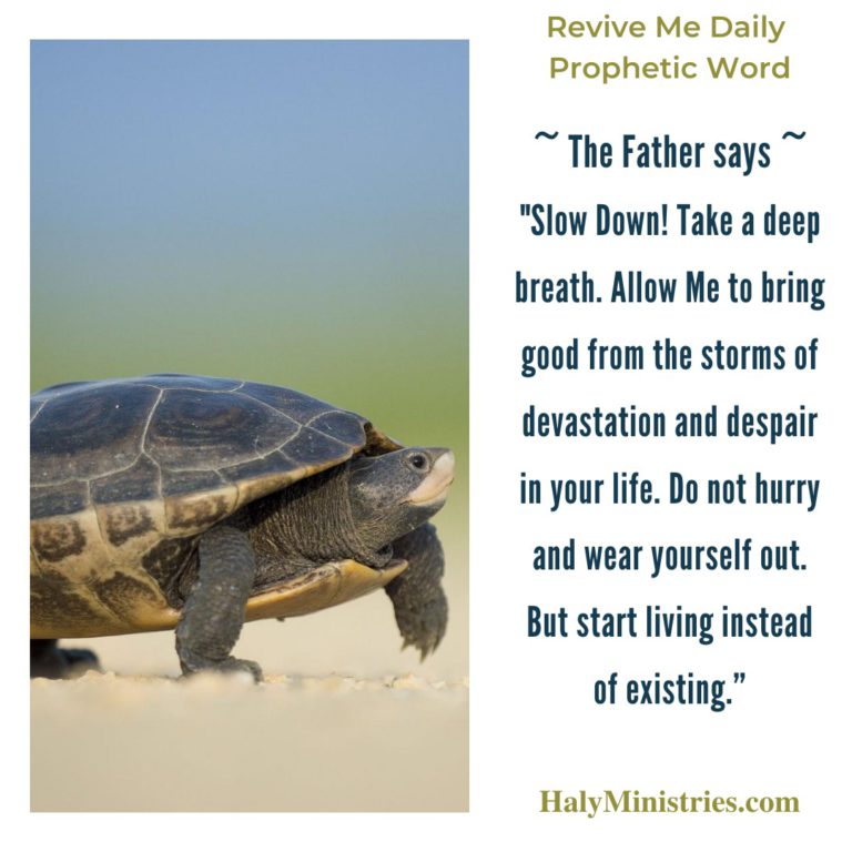 Revive Me Daily Prophetic Word - Slow Down