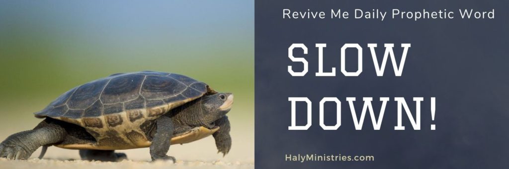 Revive Me Daily Prophetic Word - Slow Down - header