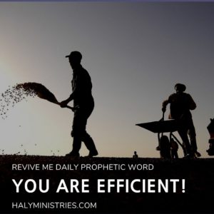 Revive Me Daily Prophetic Word You are Efficient - Man Scatters Grain