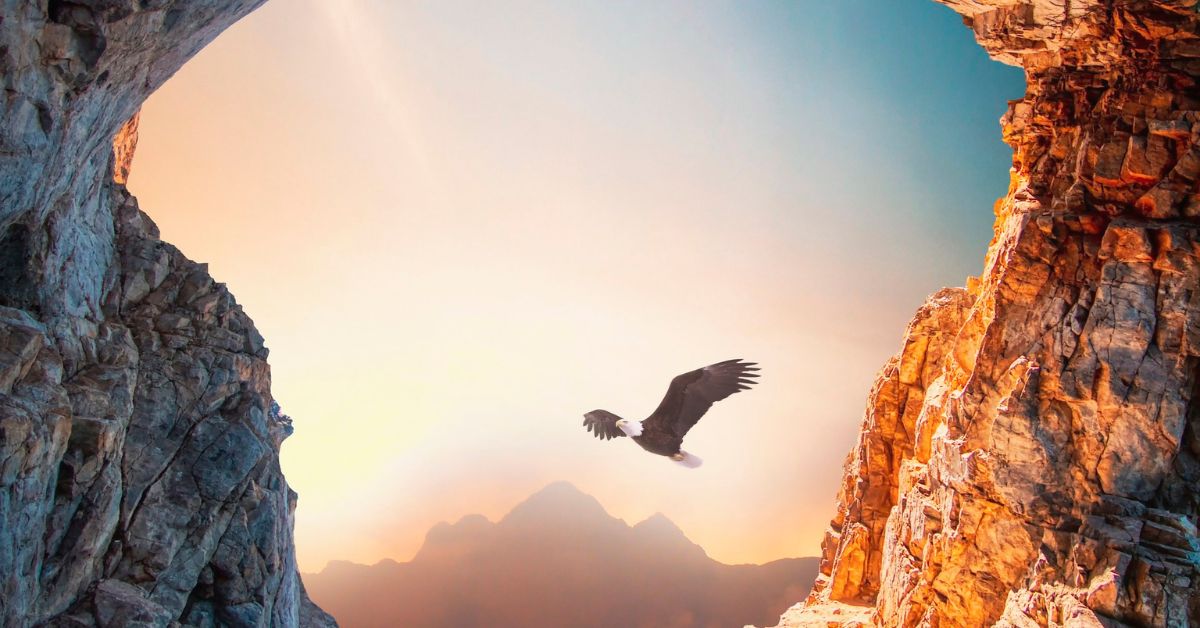 Eagle is Soaring Above Mountains. Spiritual Lesson from Eagles: Finding Strength and Freedom.