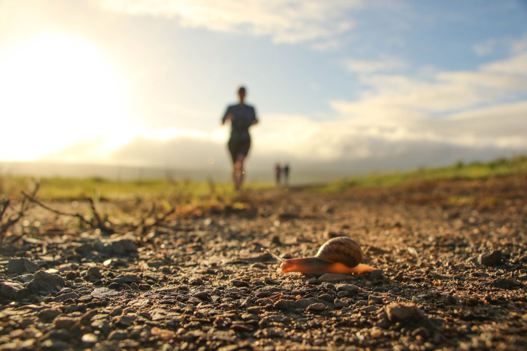 Trailrun - Runners and Snail