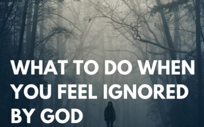 What to do When you Feel Ignored by God - Haly Ministries