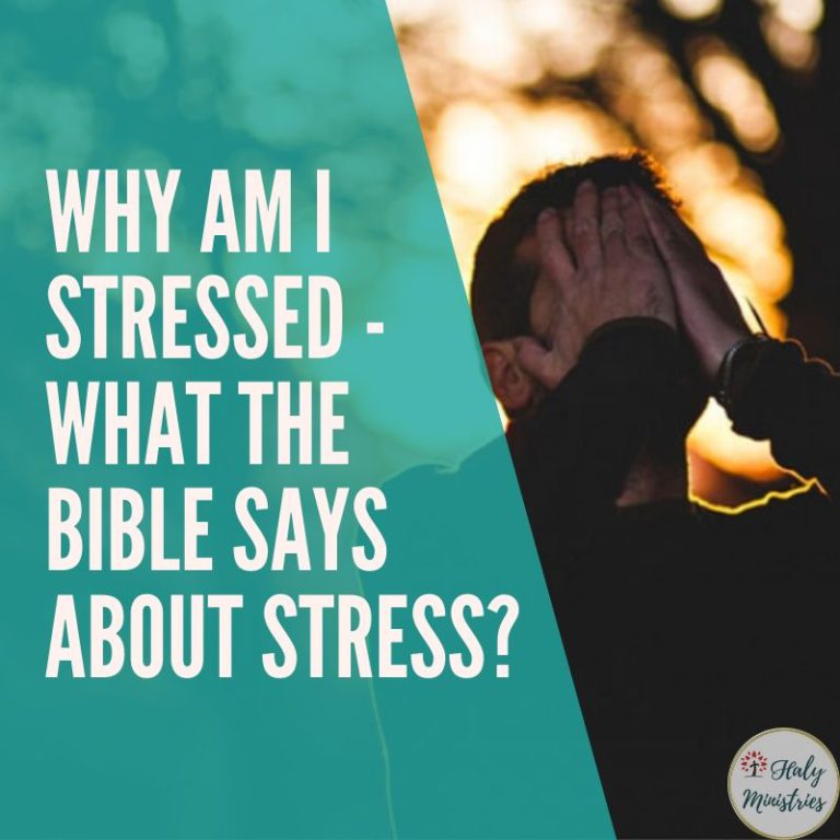 Why am I Stressed - What the Bible Says About Stress